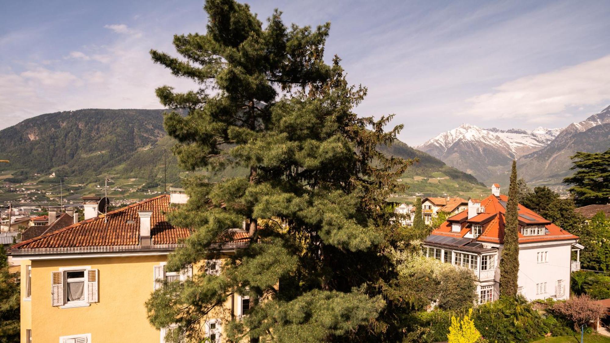 Hotel Villa Laurus Мерано Екстер'єр фото